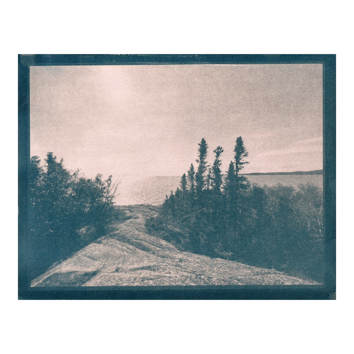 Cyanotype Print