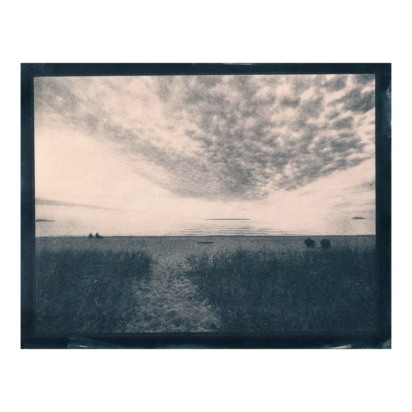Cyanotype Print