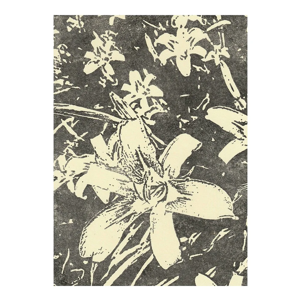 Image Transfer Print - 5" x 7"