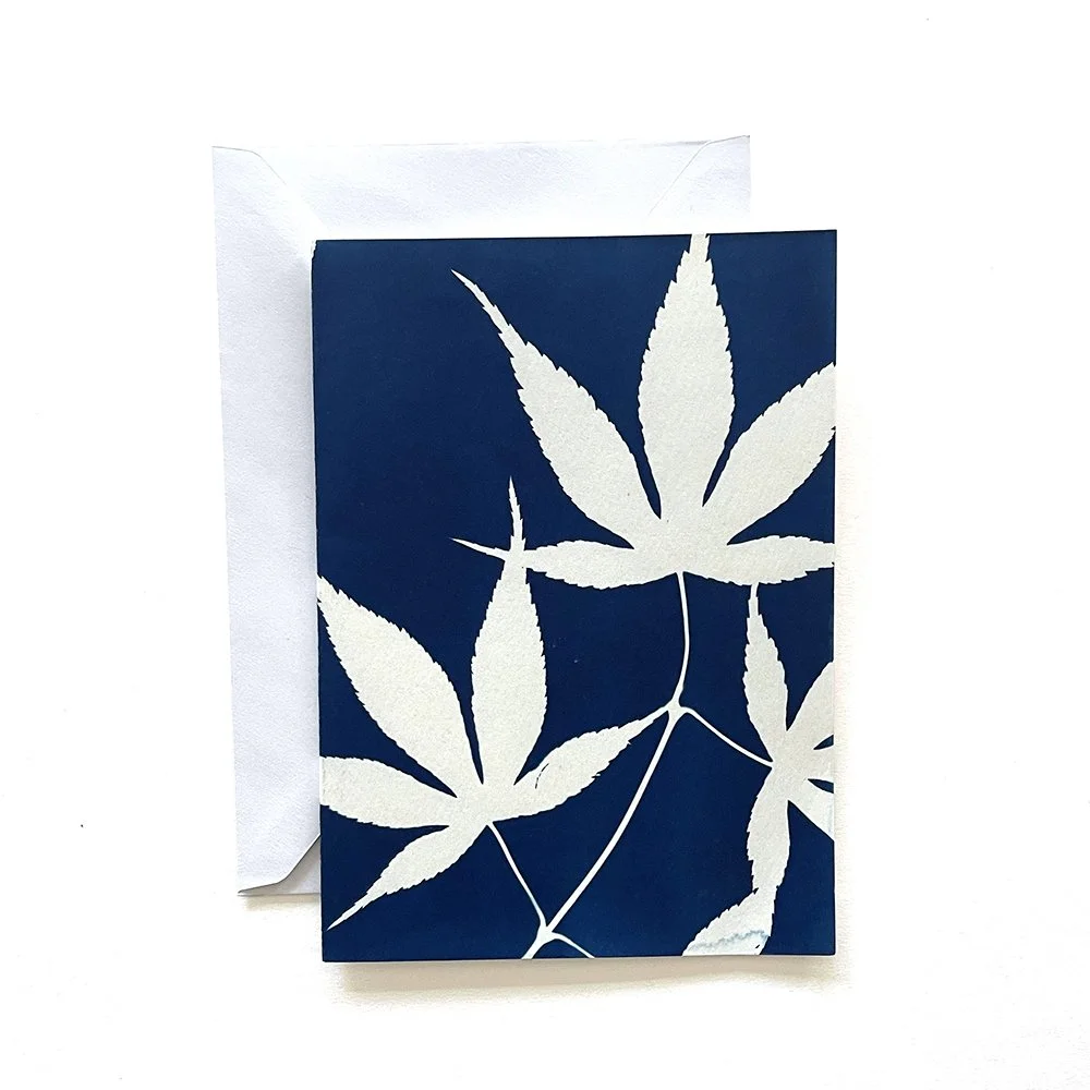 Cyanotype Greeting Card