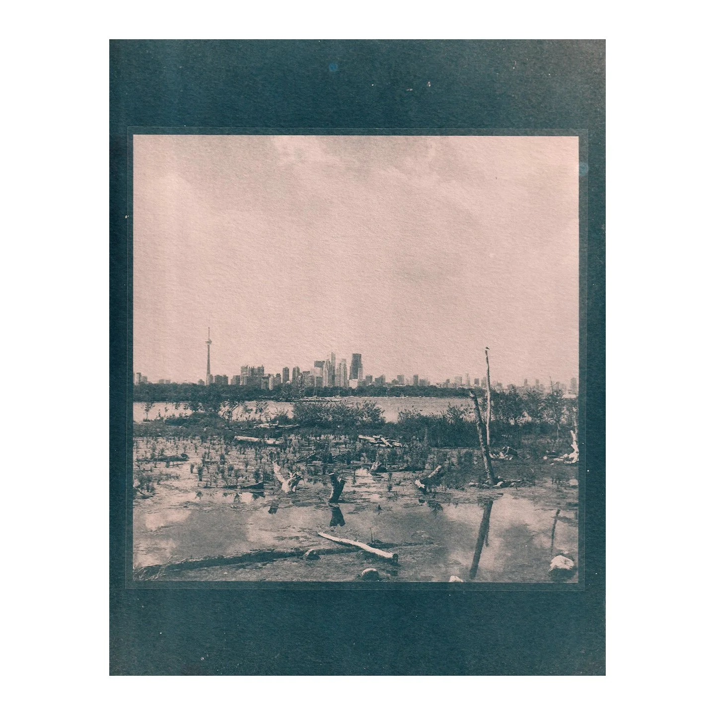 Cyanotype Print