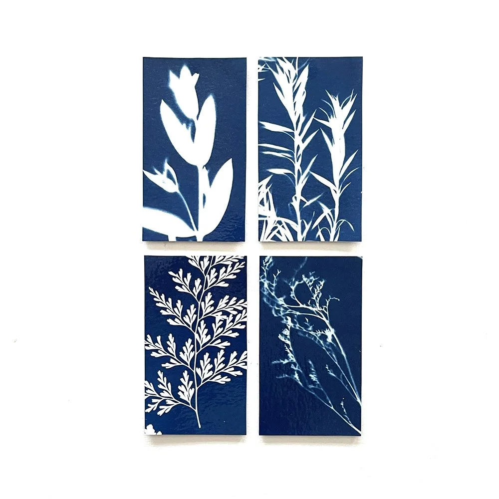Cyanotype Magnets - Set of 4