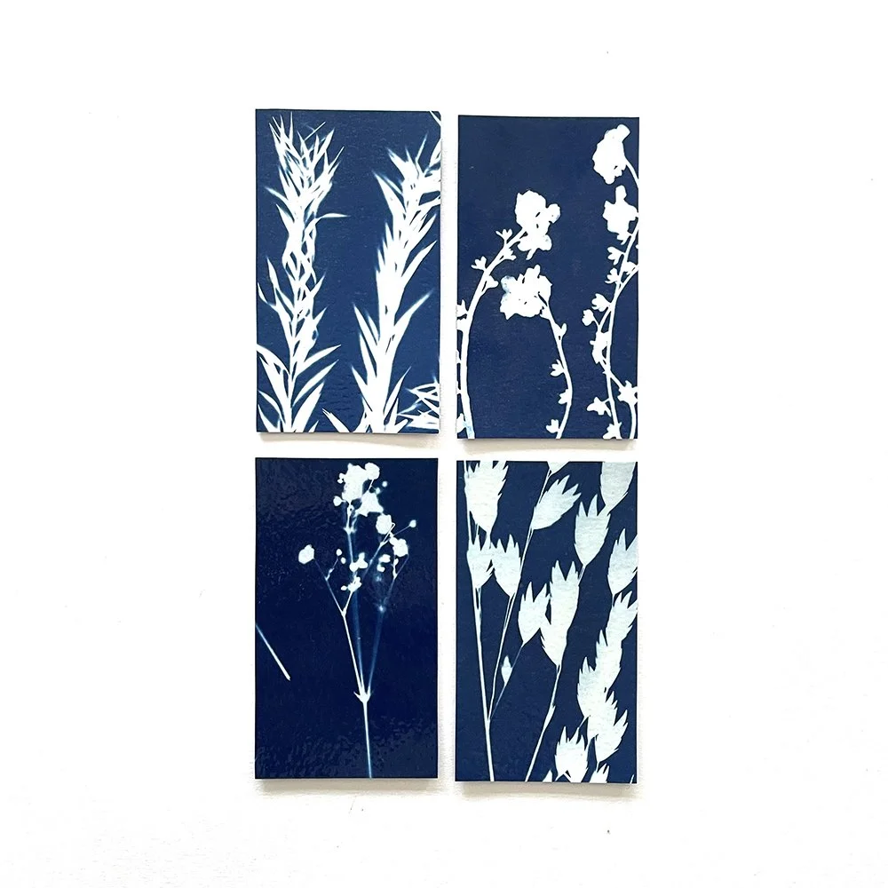Cyanotype Magnets - Set of 4