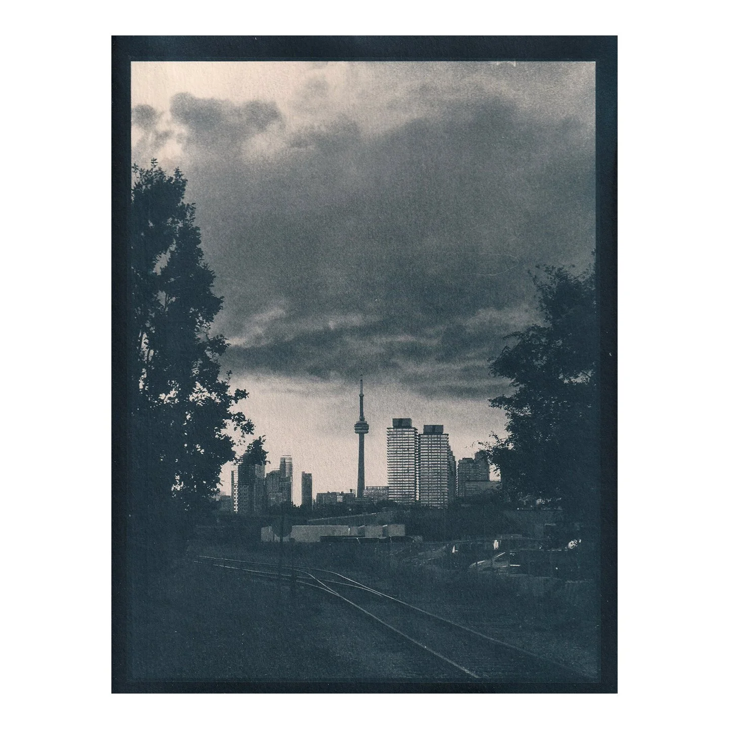 Cyanotype Print