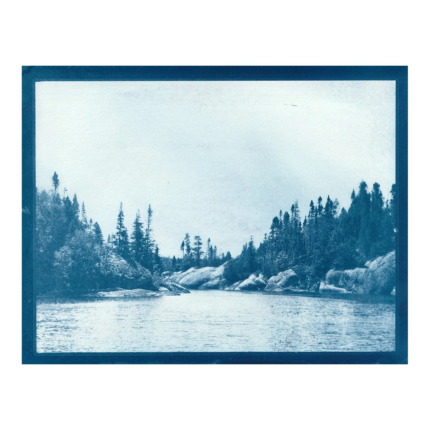 Cyanotype Print