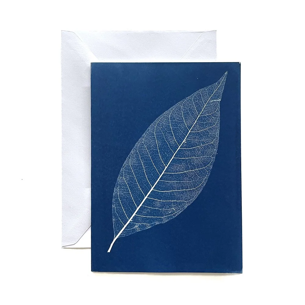 Cyanotype Greeting Card