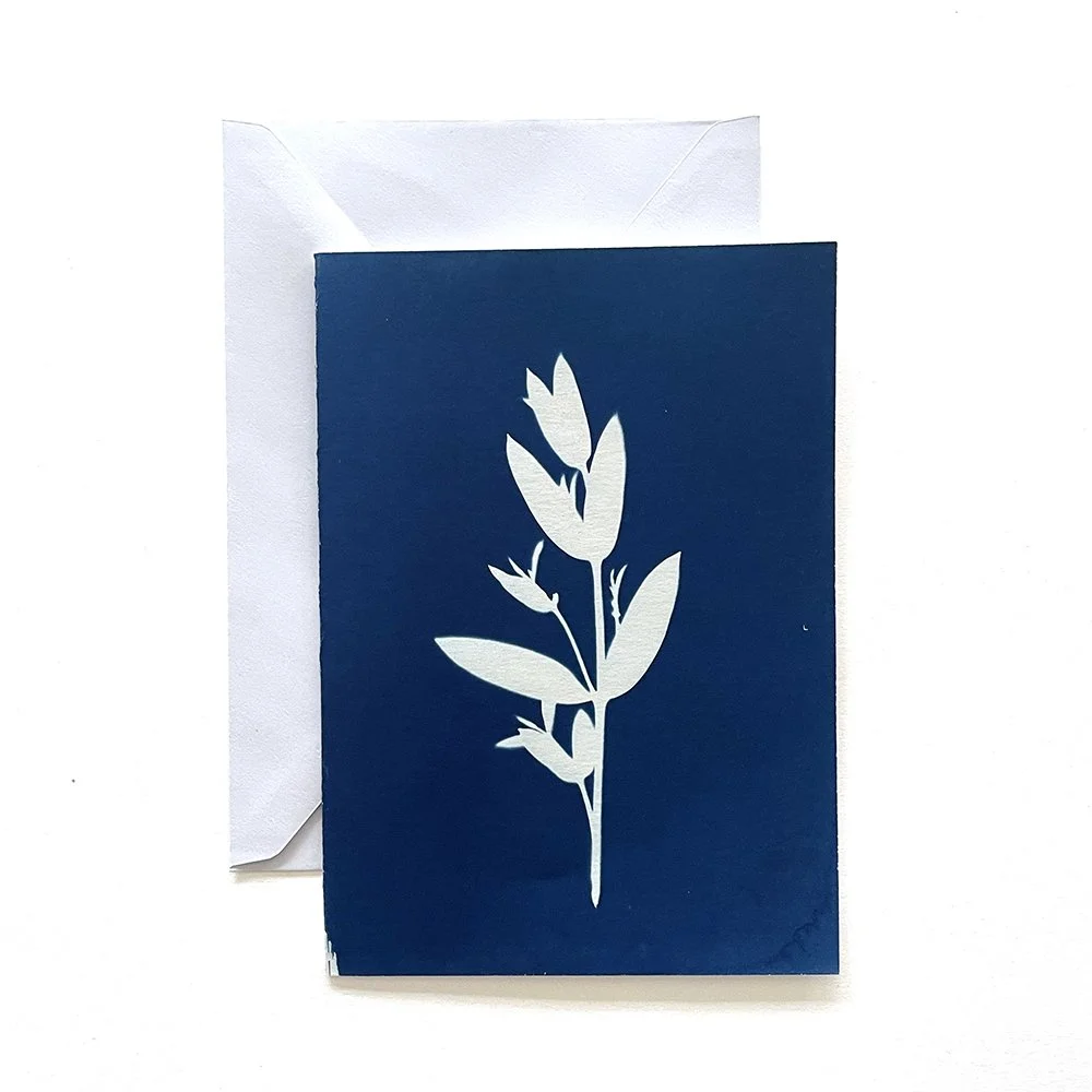 Cyanotype Greeting Card