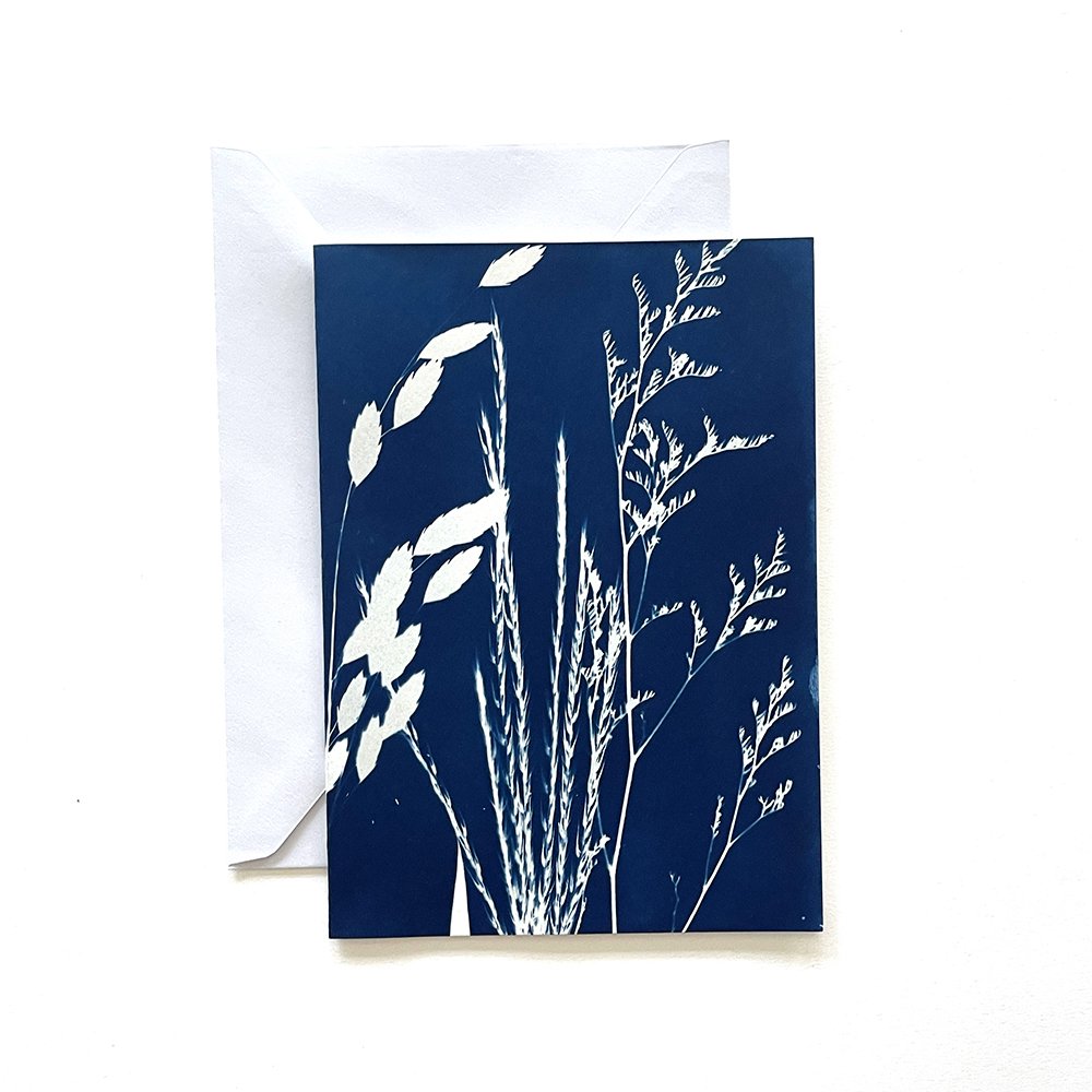Cyanotype Greeting Card