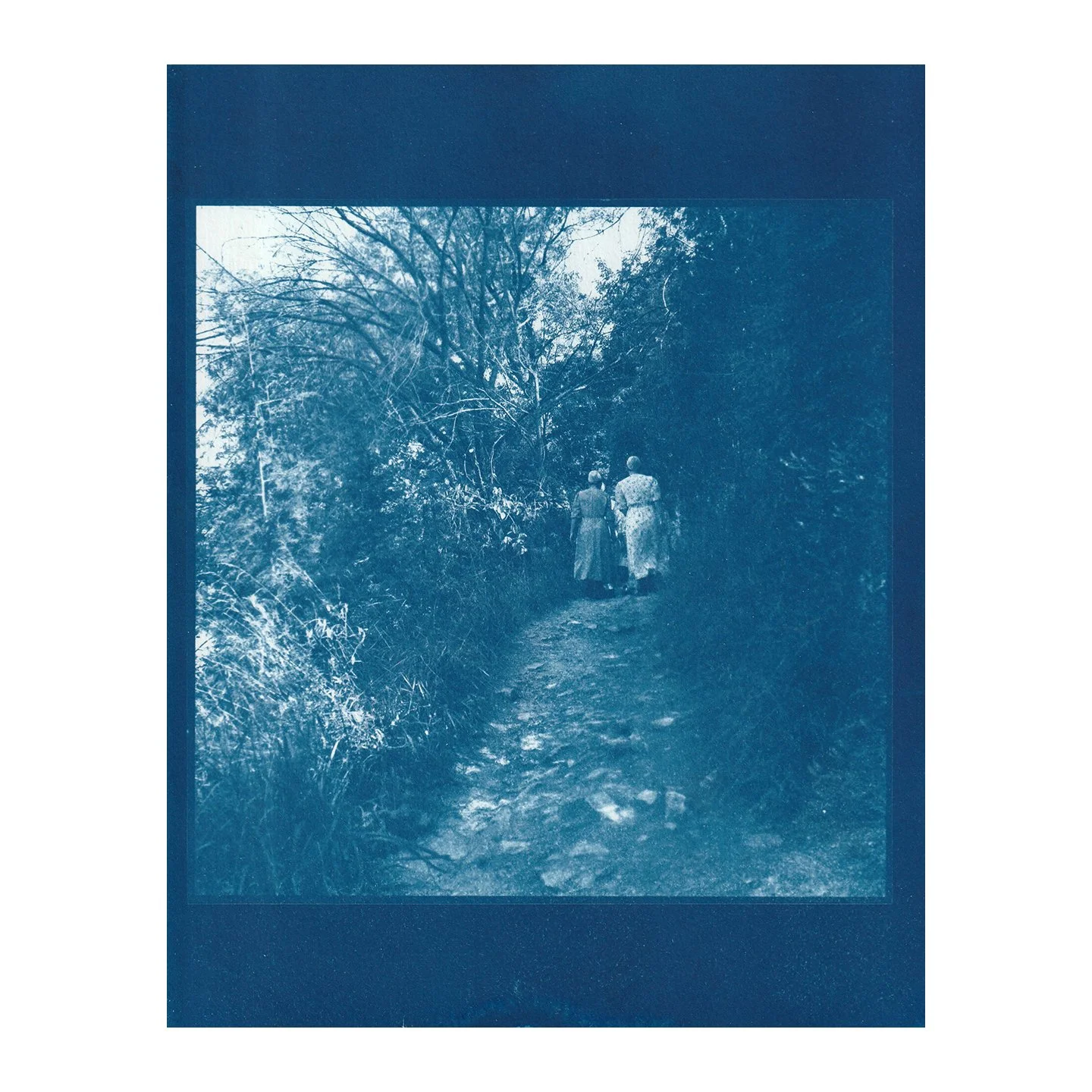 Cyanotype Print