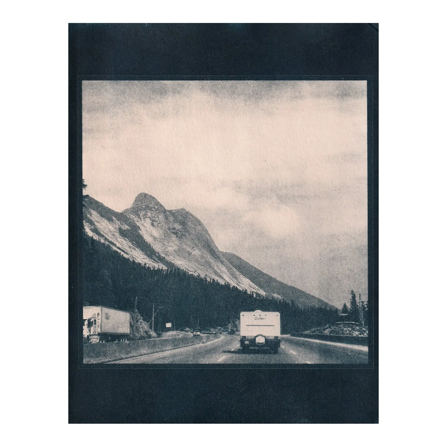 Cyanotype Print