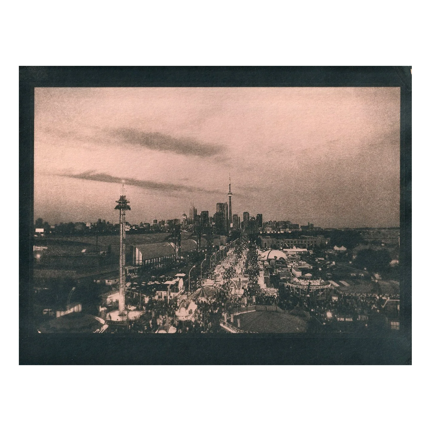 Cyanotype Print