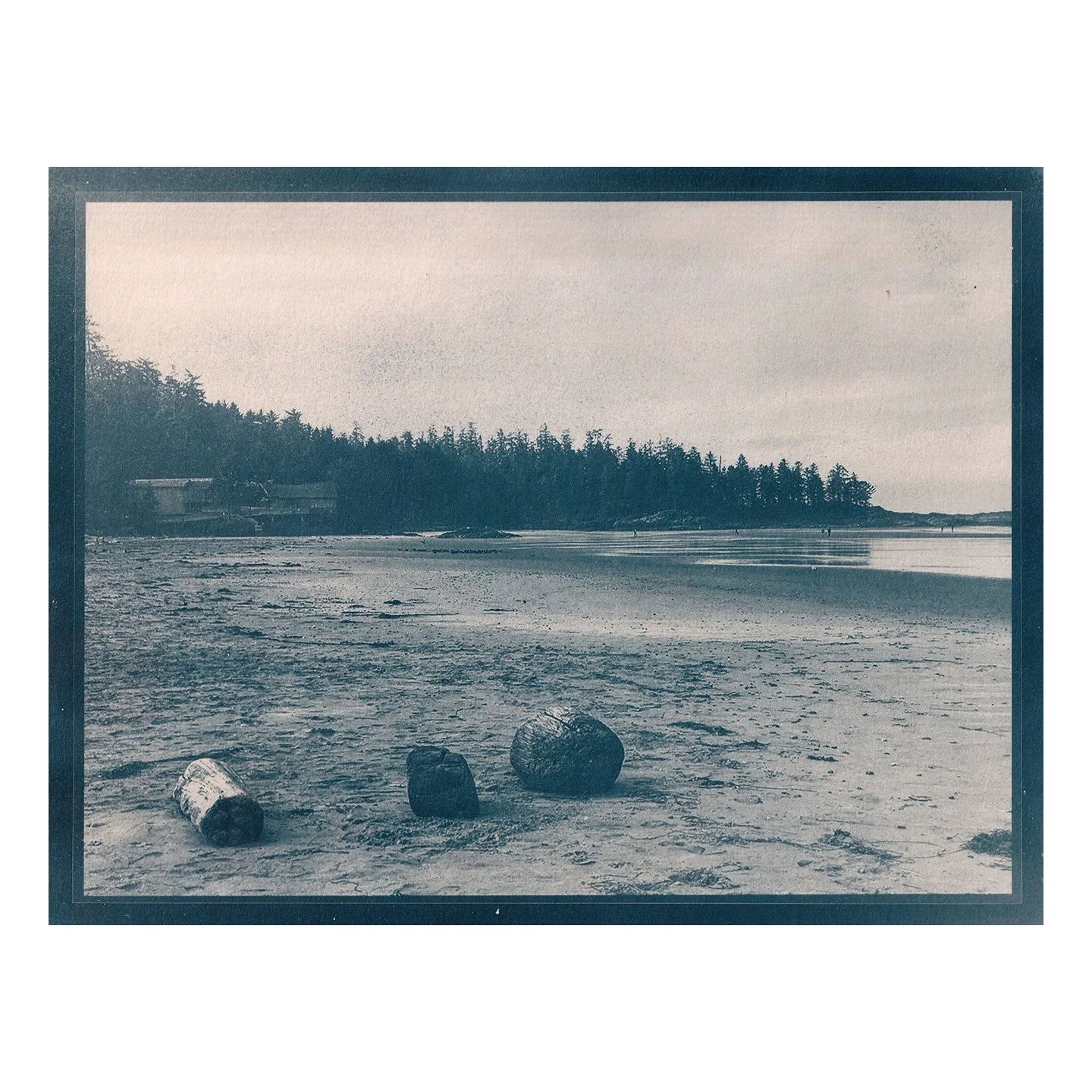 Cyanotype Print