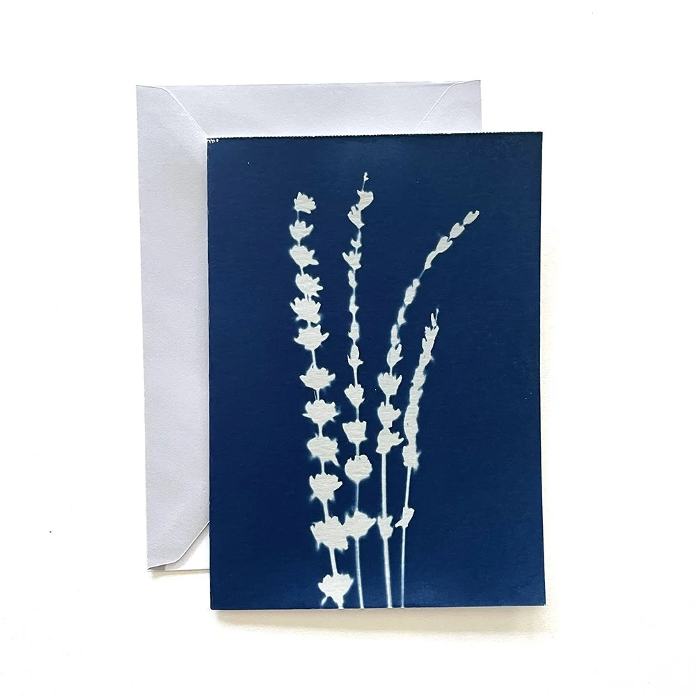 Cyanotype Greeting Card