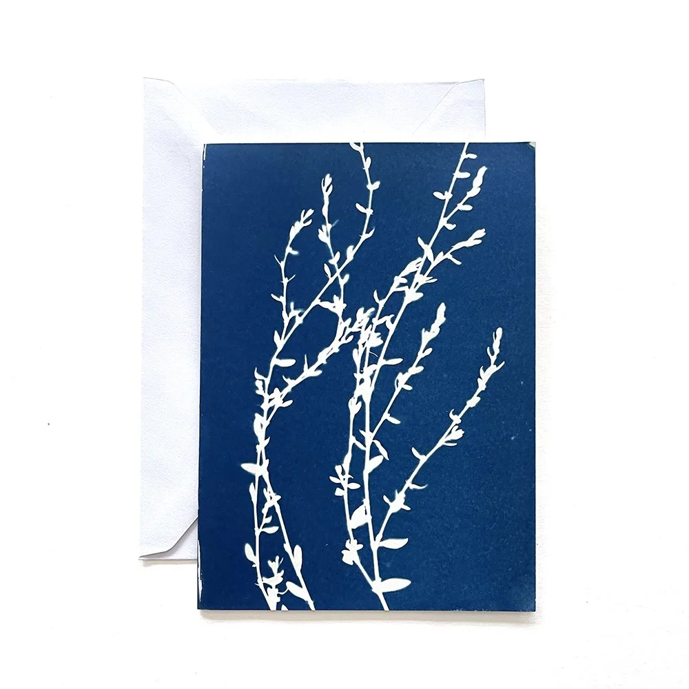 Cyanotype Greeting Card