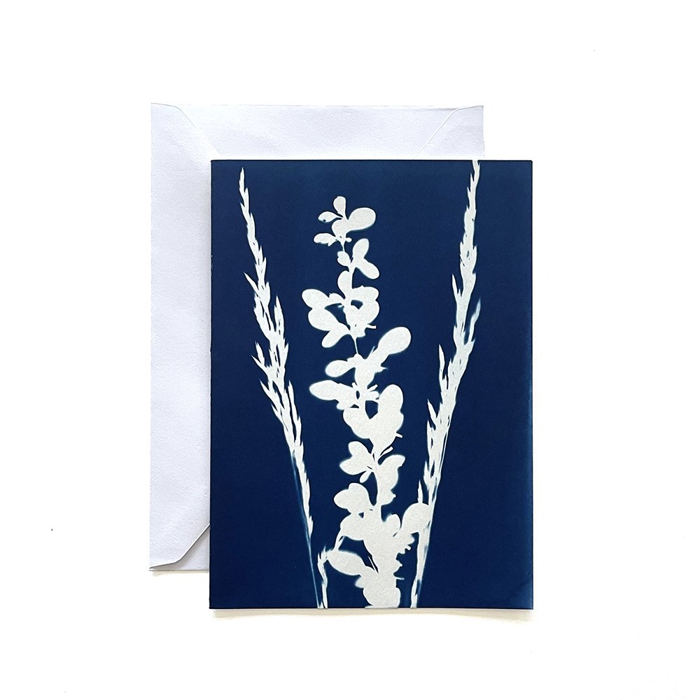 Cyanotype Greeting Card
