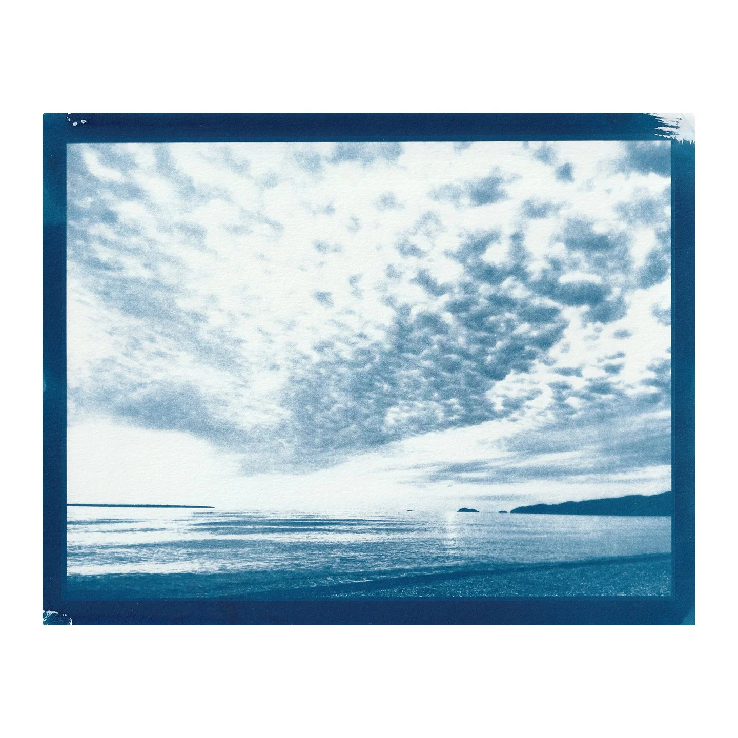 Cyanotype Print