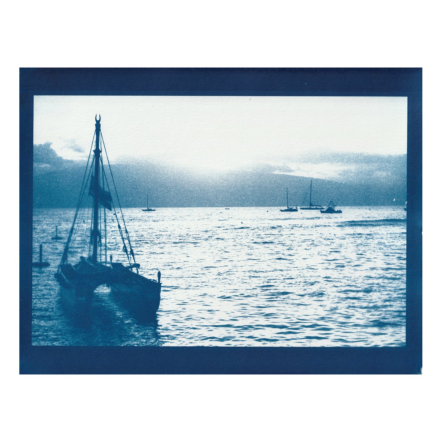 Cyanotype Print