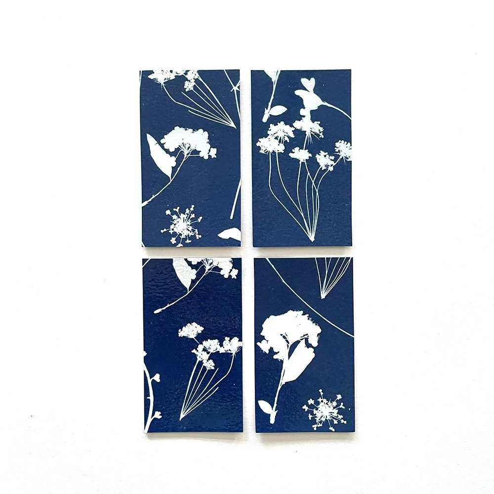 Cyanotype Magnets - Set of 4