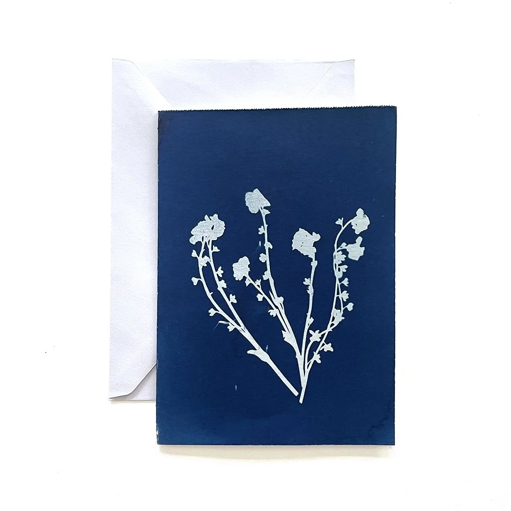Cyanotype Greeting Card
