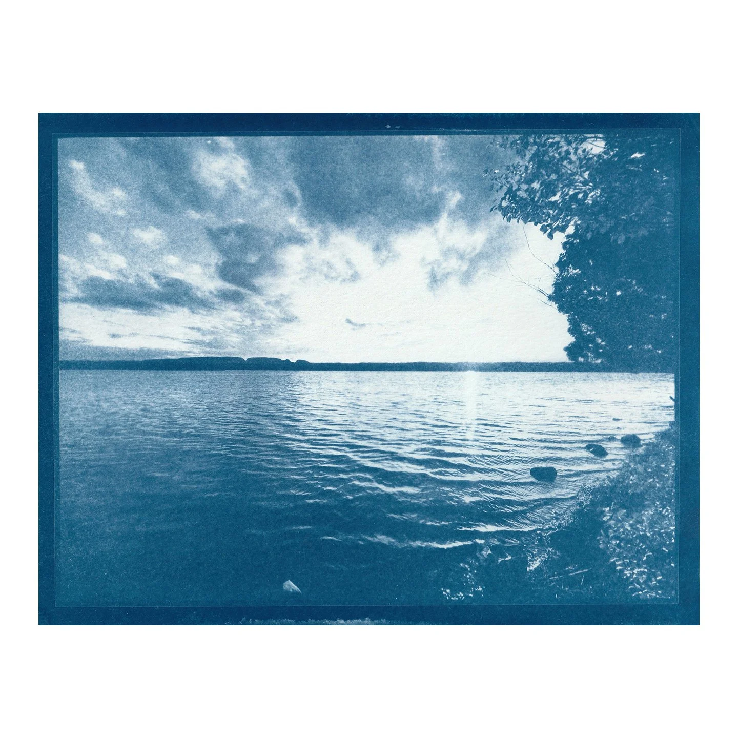 Cyanotype Print