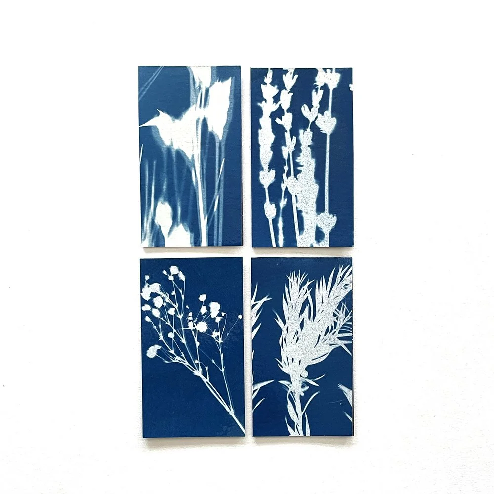 Cyanotype Magnets - Set of 4