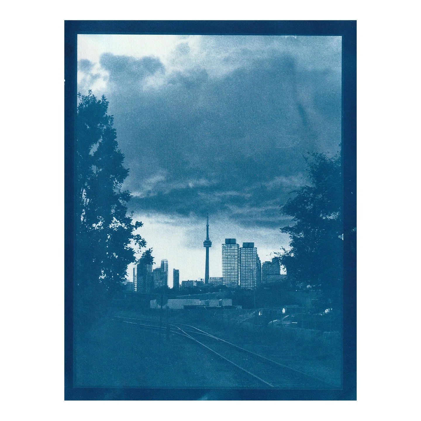 Cyanotype Print