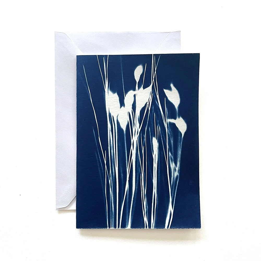Cyanotype Greeting Card