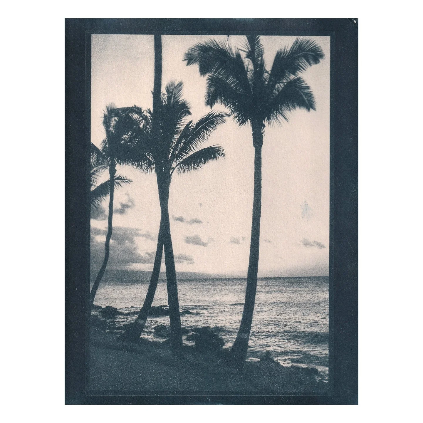 Cyanotype Print