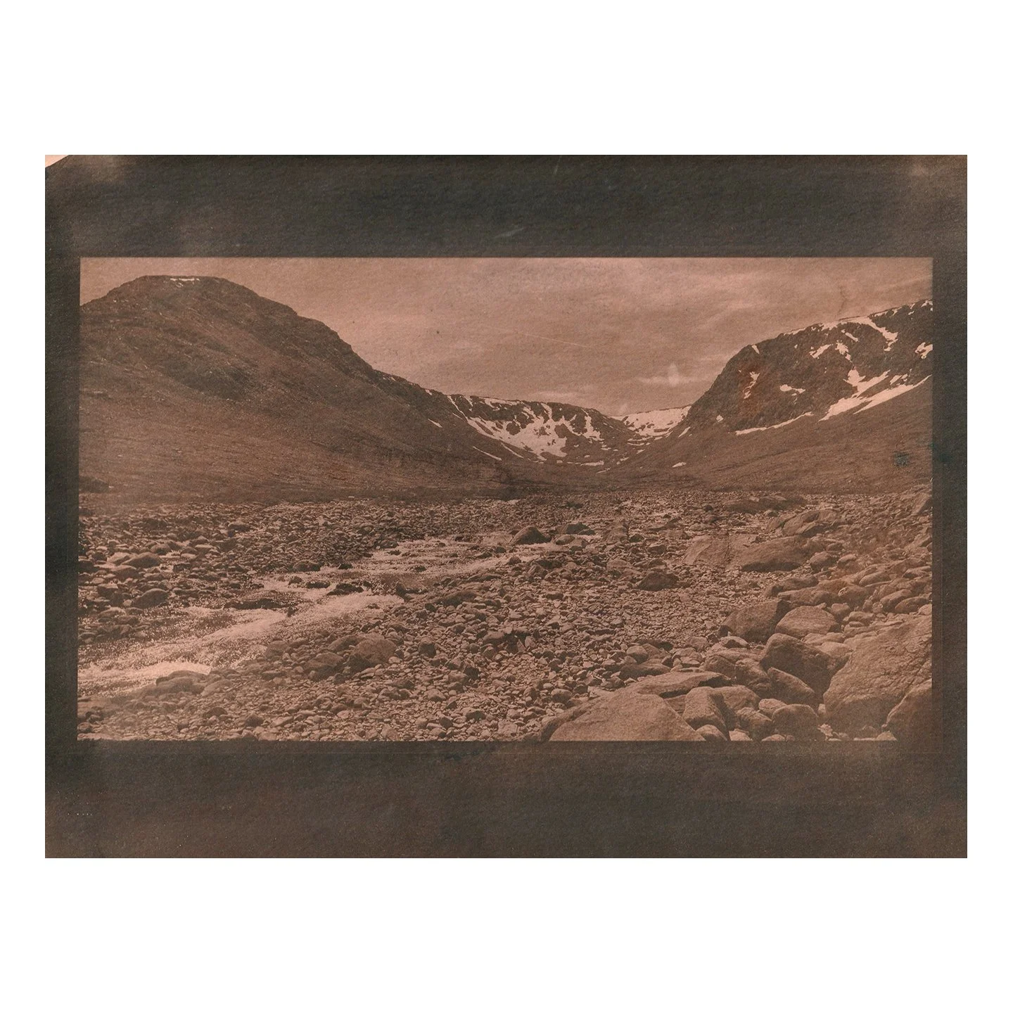 Cyanotype Print