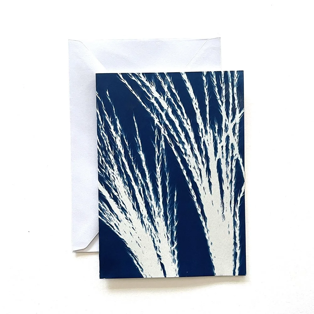 Cyanotype Greeting Card