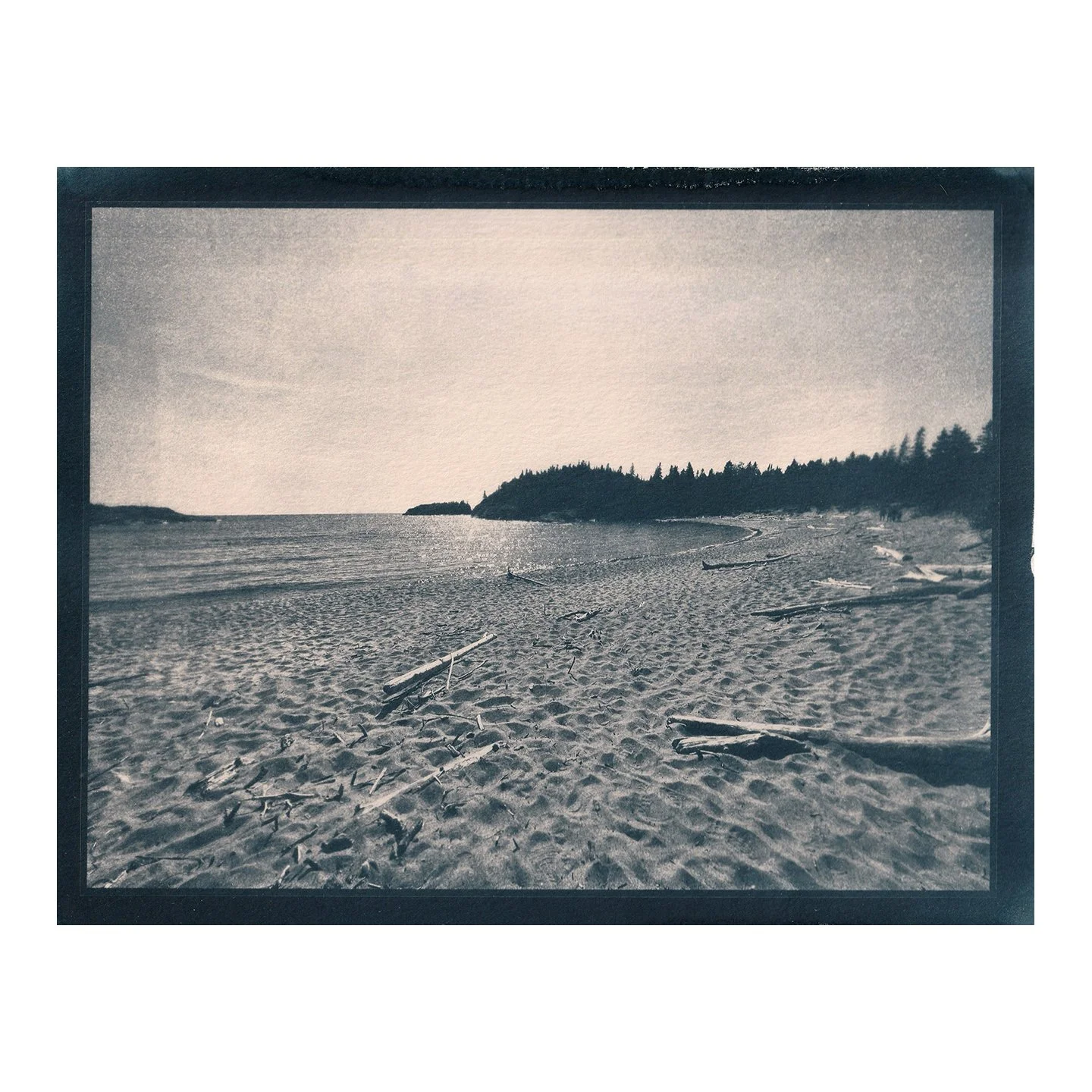 Cyanotype Print