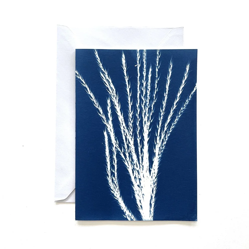 Cyanotype Greeting Card