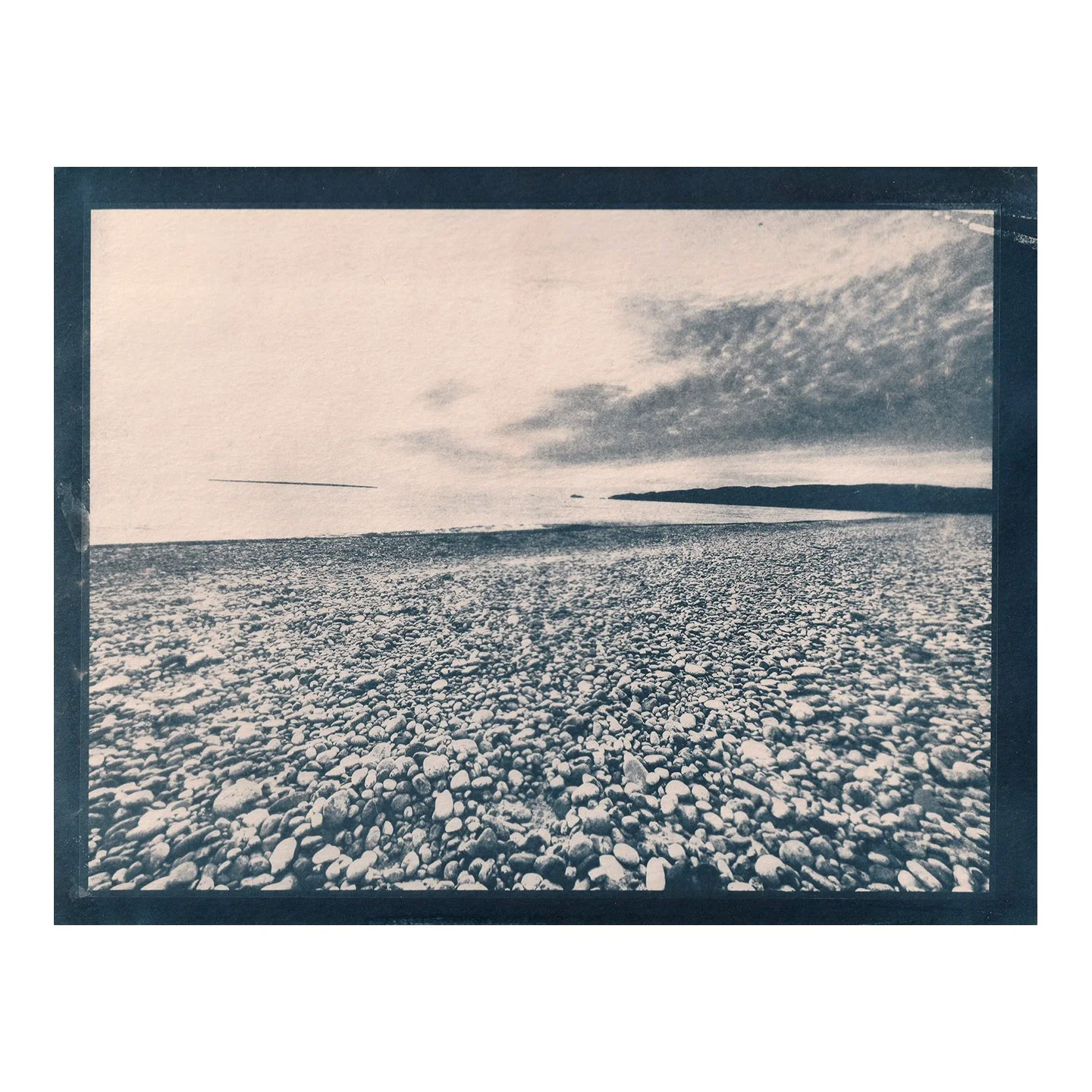 Cyanotype Print