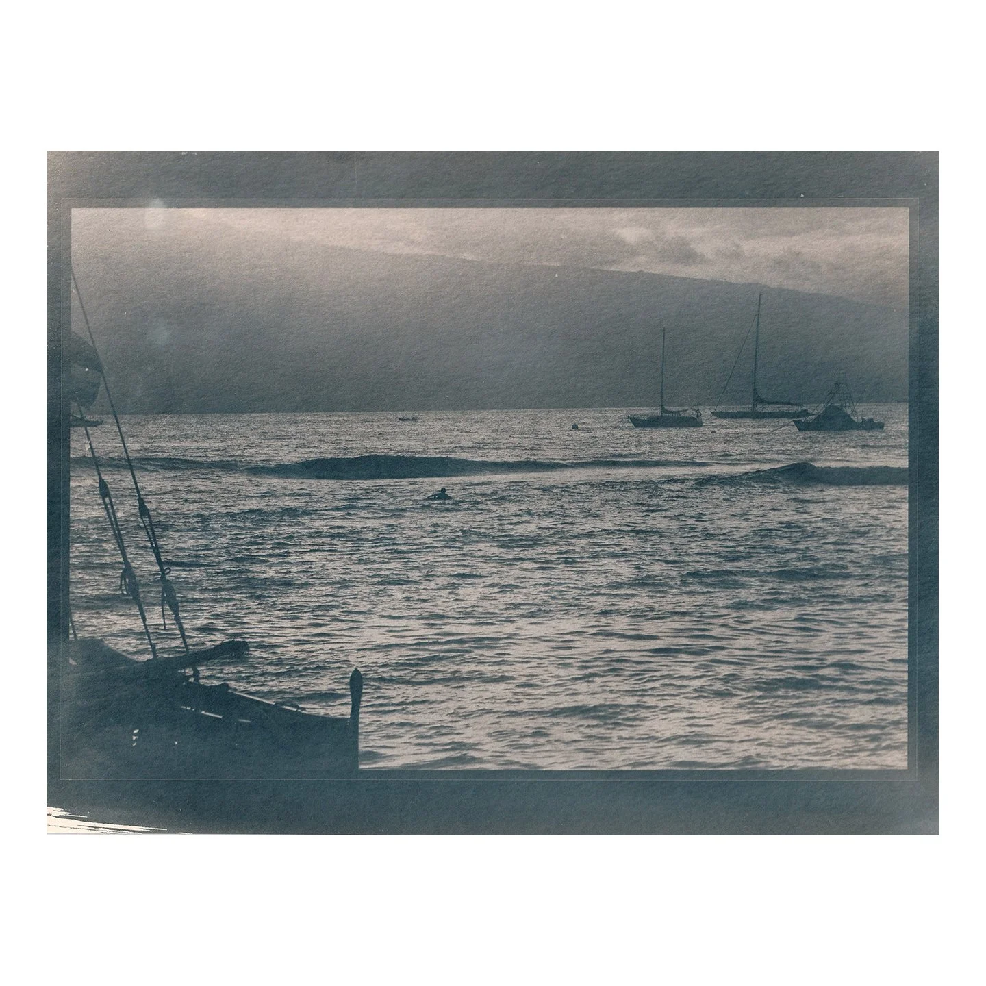 Cyanotype Print