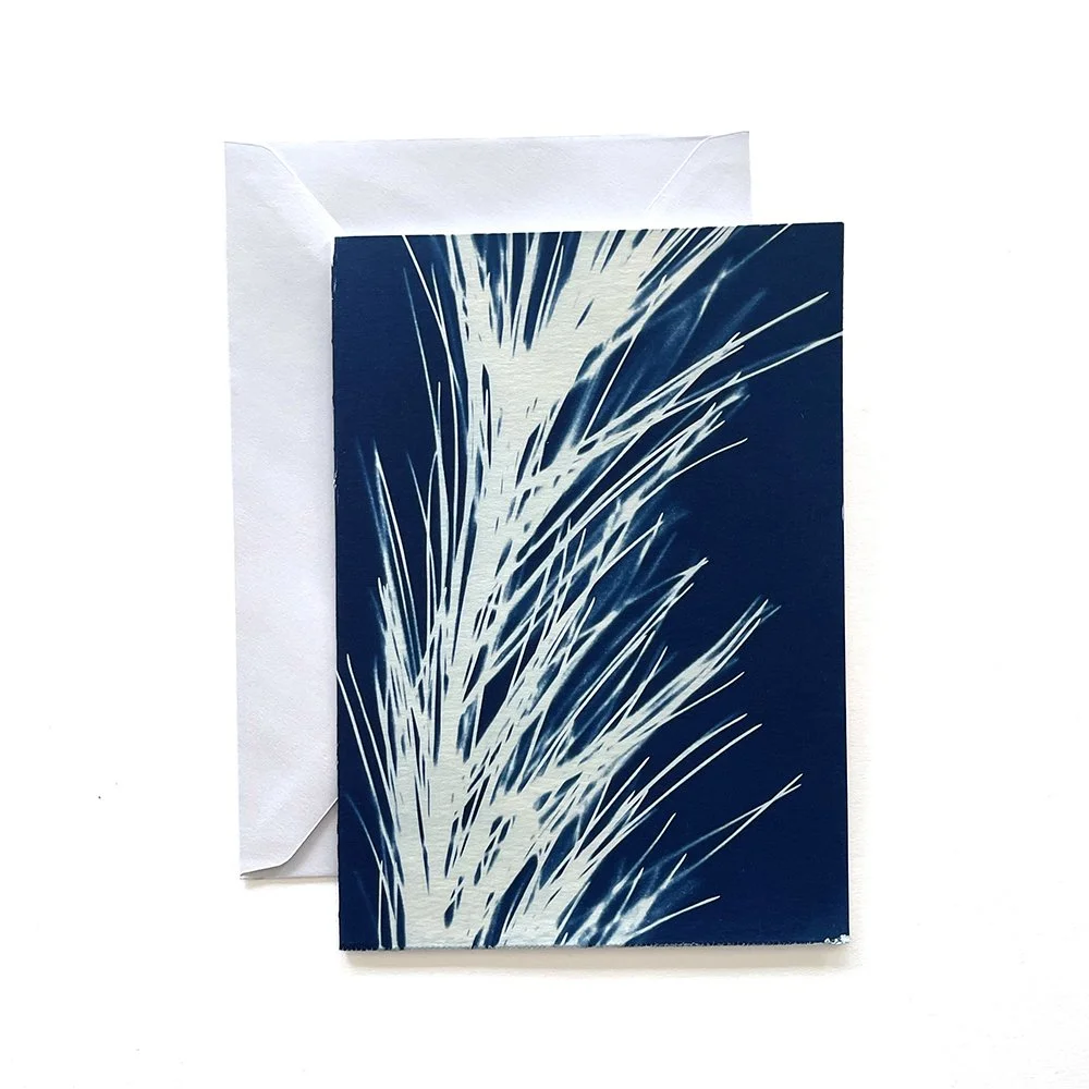 Cyanotype Greeting Card