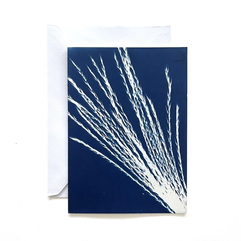 Cyanotype Greeting Card