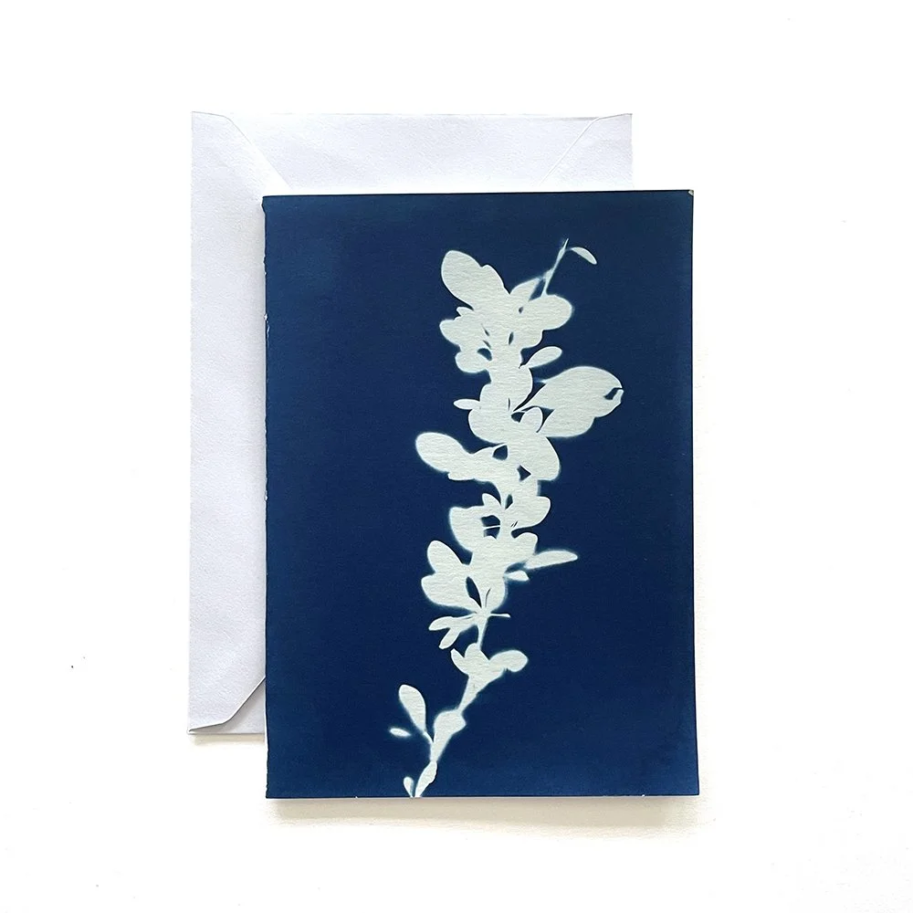 Cyanotype Greeting Card