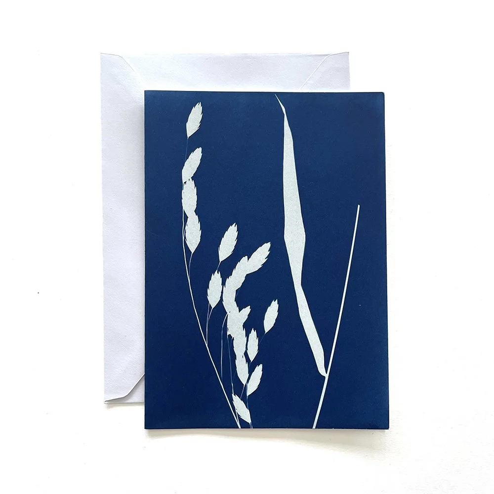 Cyanotype Greeting Card