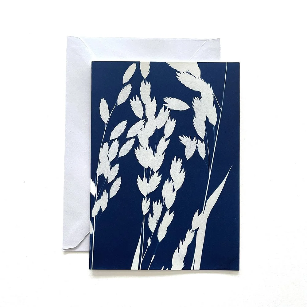Cyanotype Greeting Card
