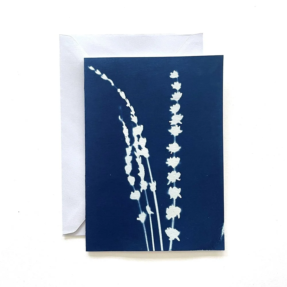 Cyanotype Greeting Card