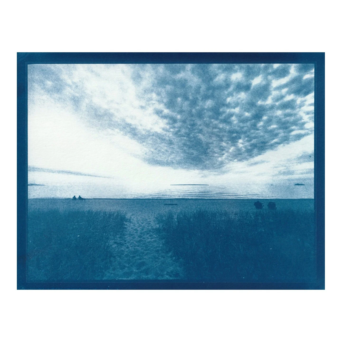 Cyanotype Print