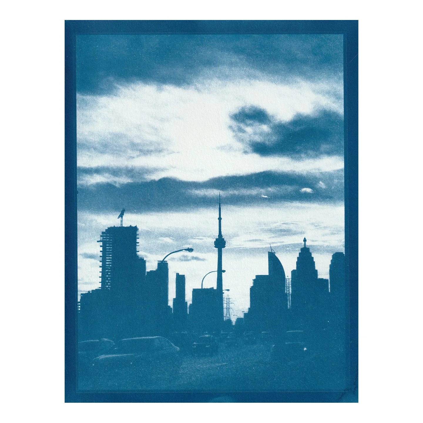 Cyanotype Print