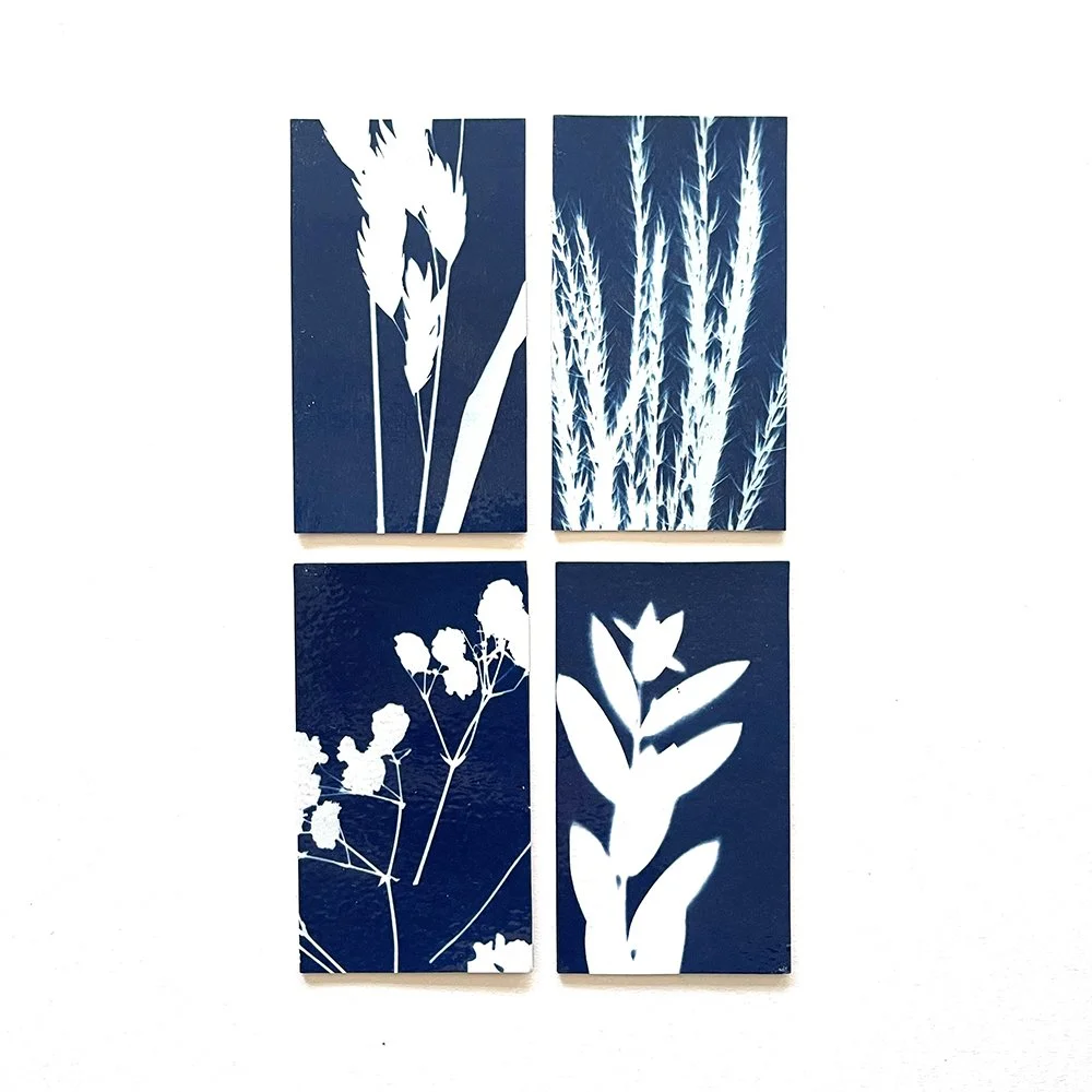 Cyanotype Magnets - Set of 4