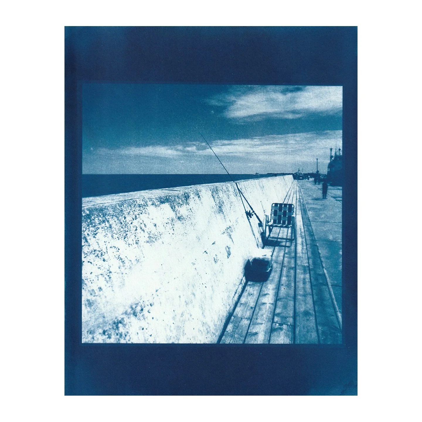 Cyanotype Print