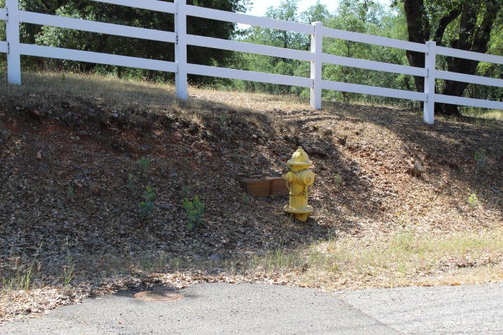Fire hydrant out front.jpg