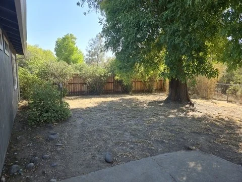 1270_Bradley_backyard1_50.jpg