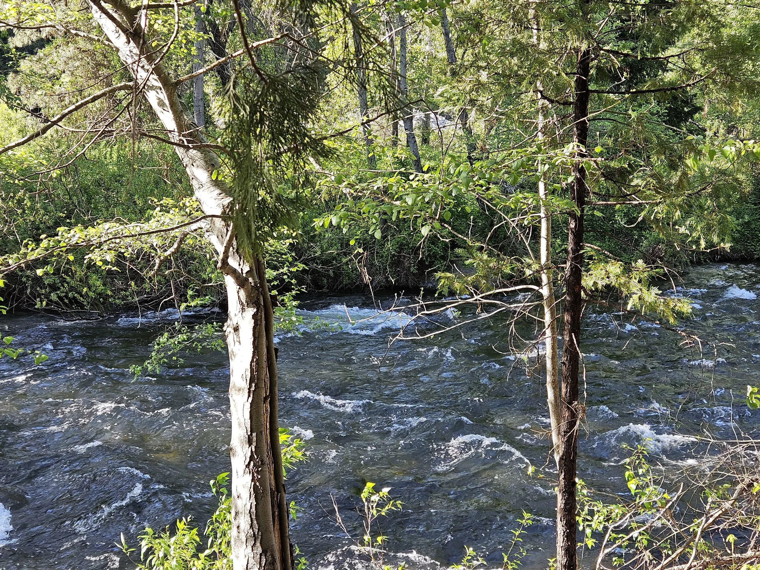 20250501_171631.jpg
