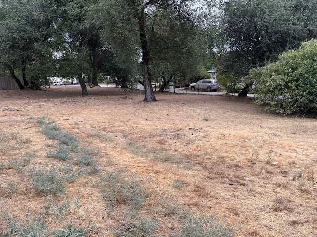 12097 Romar land6.jpg