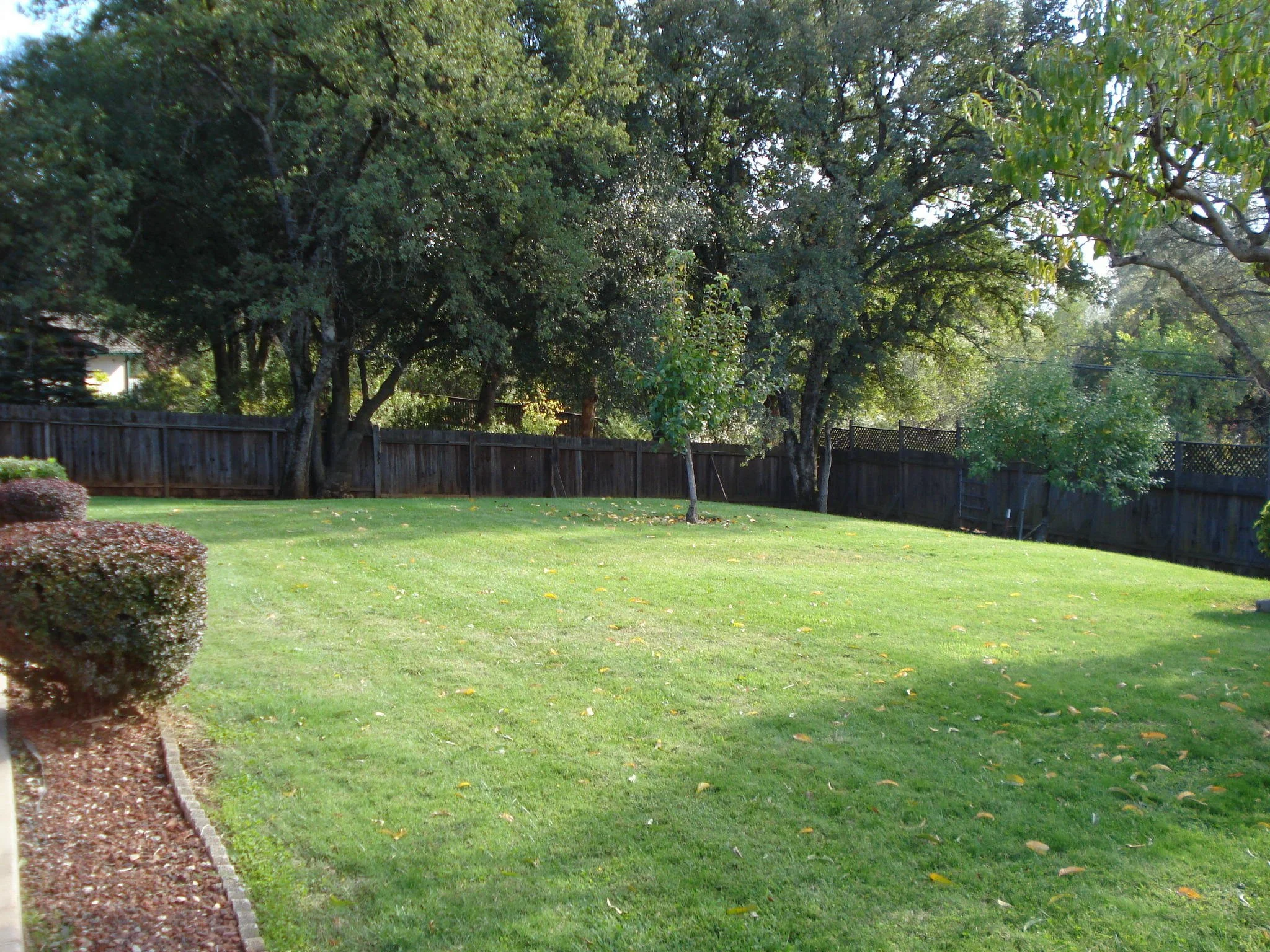 20351 Greenview backyard.JPG