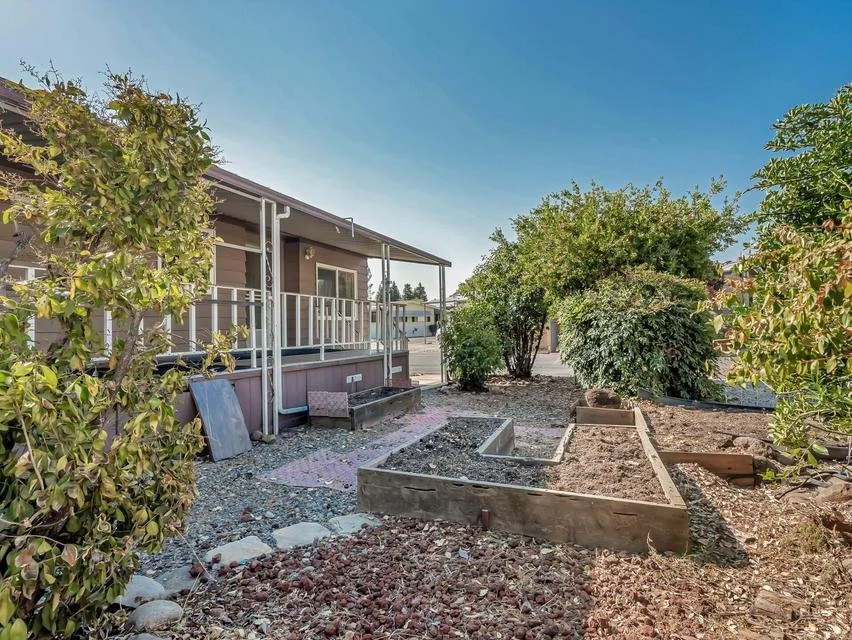 488 Brushwood garden.jpg